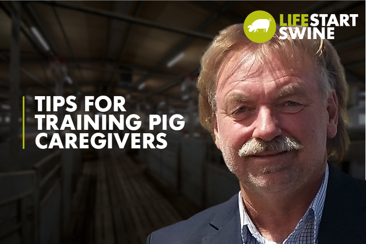 Thumbnail - Interview Graeme Pope: Tips for Training Pig Caregivers