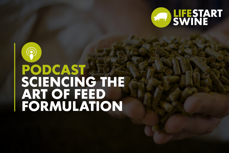 Thumbail - sciencing the art of feed formulation 